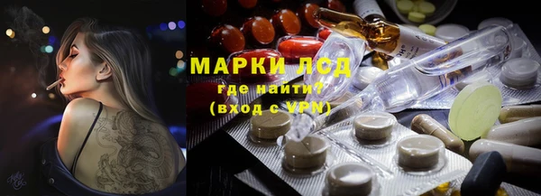 прущие грибы Армянск