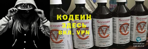 прущие грибы Армянск