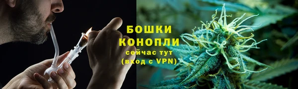 прущие грибы Армянск