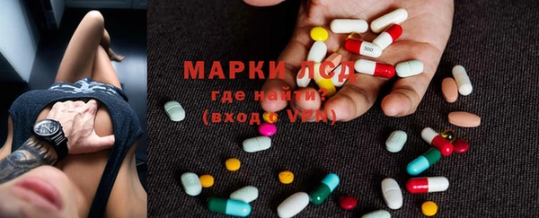 прущие грибы Армянск