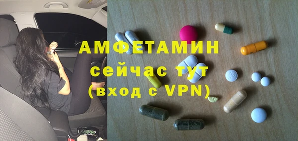 прущие грибы Армянск