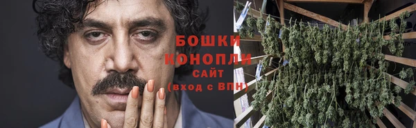 прущие грибы Армянск