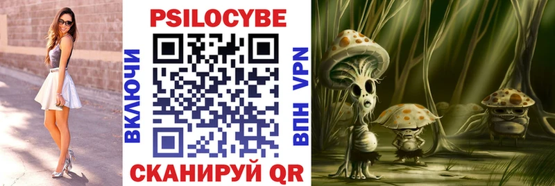 Псилоцибиновые грибы мицелий  купить   Медногорск 