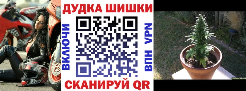 где можно купить наркотик  Медногорск  Канабис ГИДРОПОН 